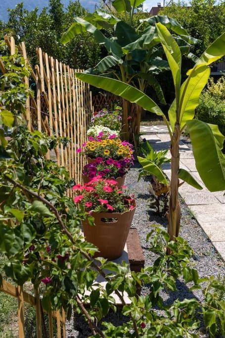 Bougainvillea House With Private Garden Kalamata Exterior foto